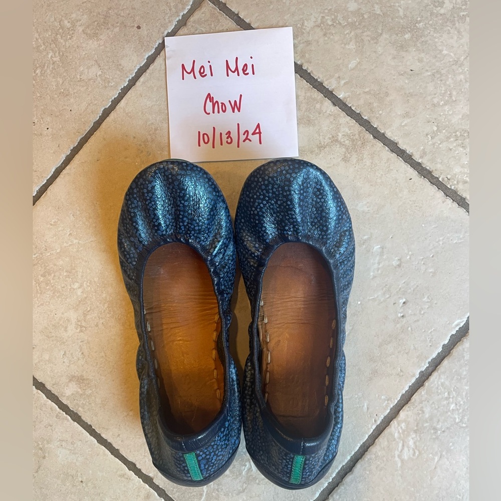 Custom Tieks in Size 7 - Great rehab project